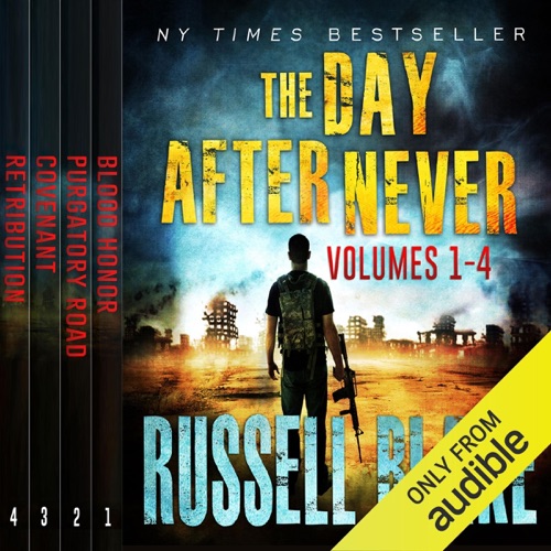The Day After Never Bundle (First 4 Novels) (Unabridged) cover