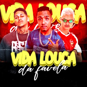 Vida Louca da Favela