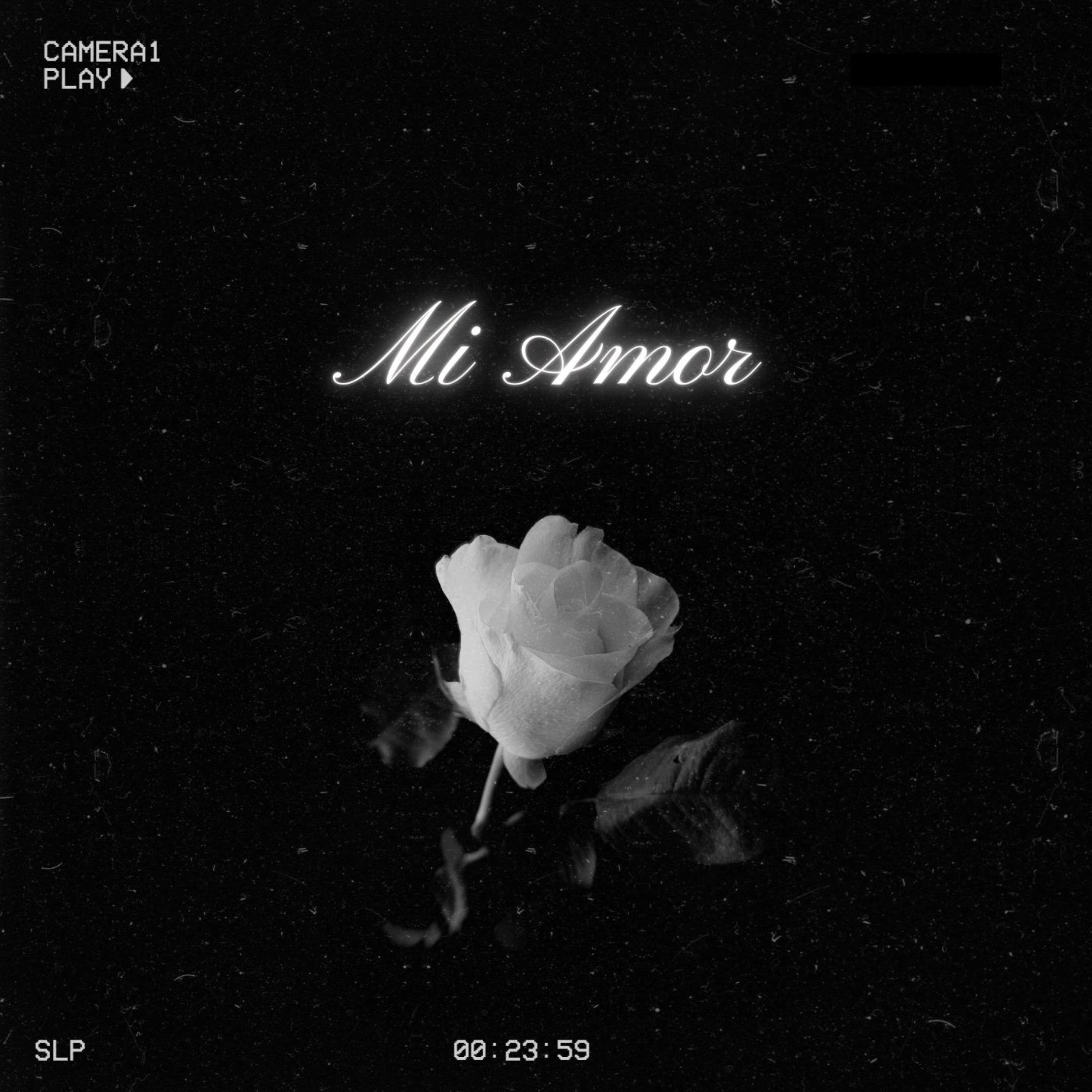 Mi Amor - Single