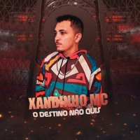O Destino Não Quis (feat. Xandinho no Beat) - Single - xandinho mc