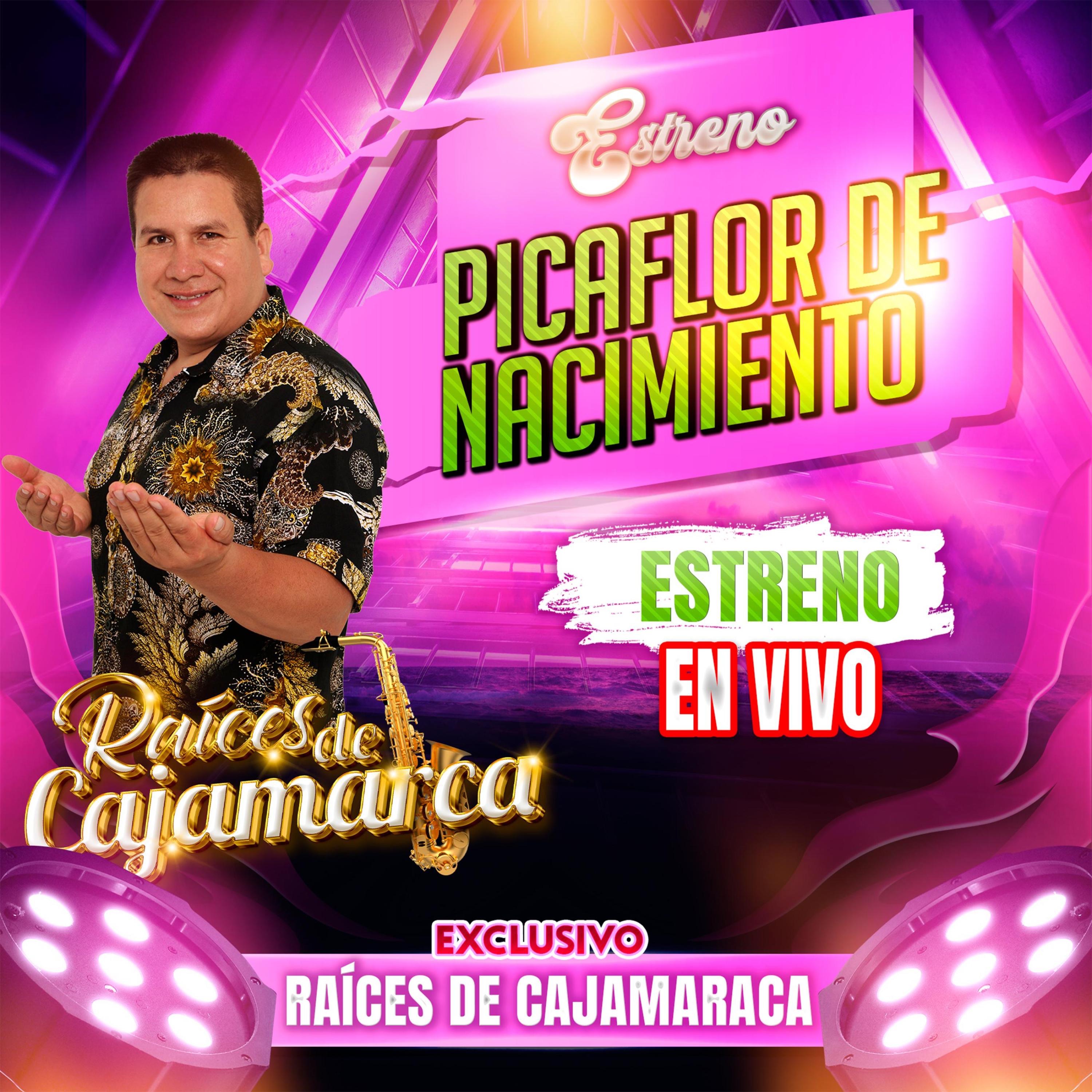 PICAFLOR DE NACIMIENTO - Single