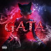 Gata - Single