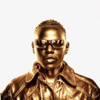 Album cover for Shakira by King Soundboi