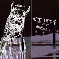 No Idols - Single - Citr3s