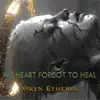 My Heart Forgot to Heal