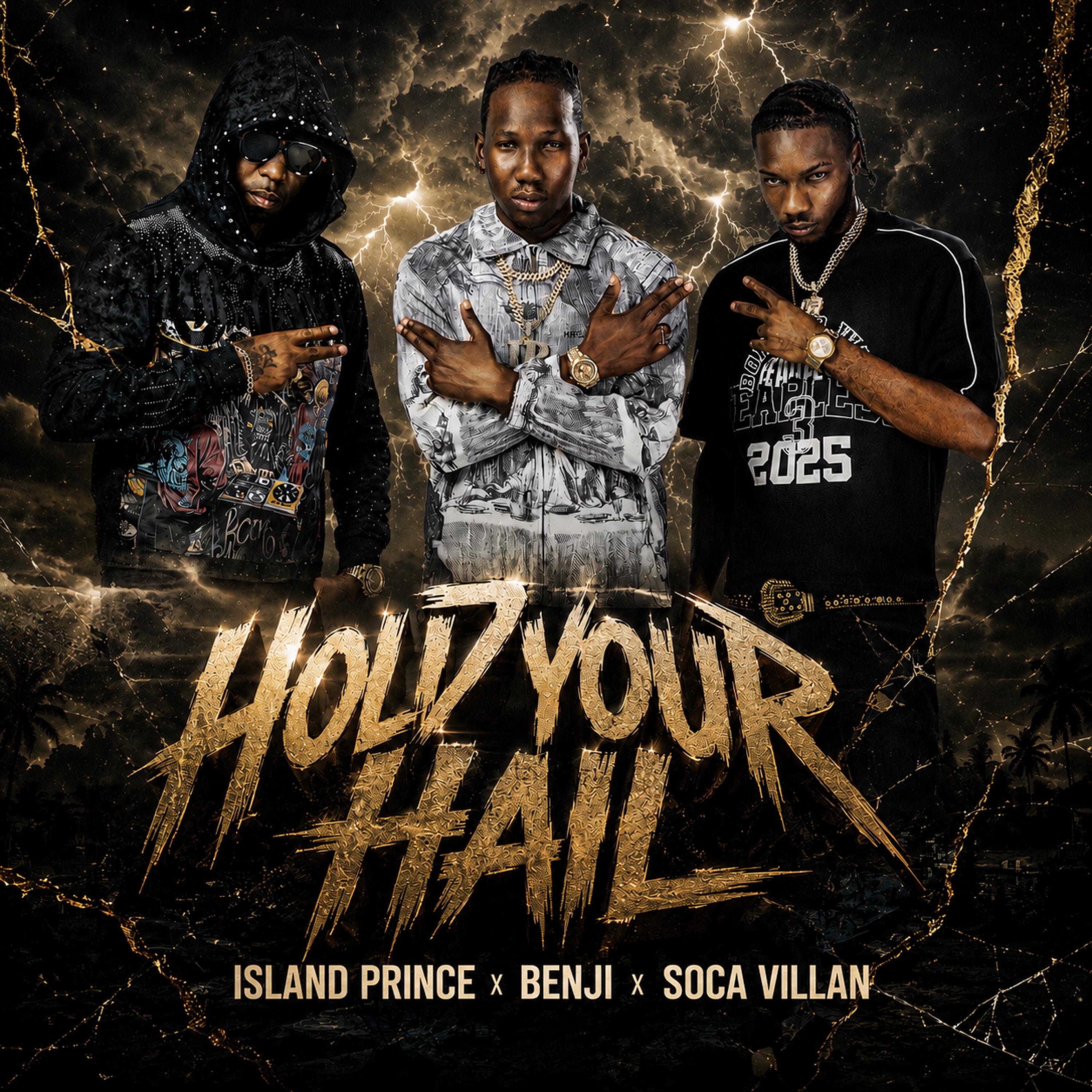 Hold Your Hail (feat. Soca Villan & Mr. Benji) - Single