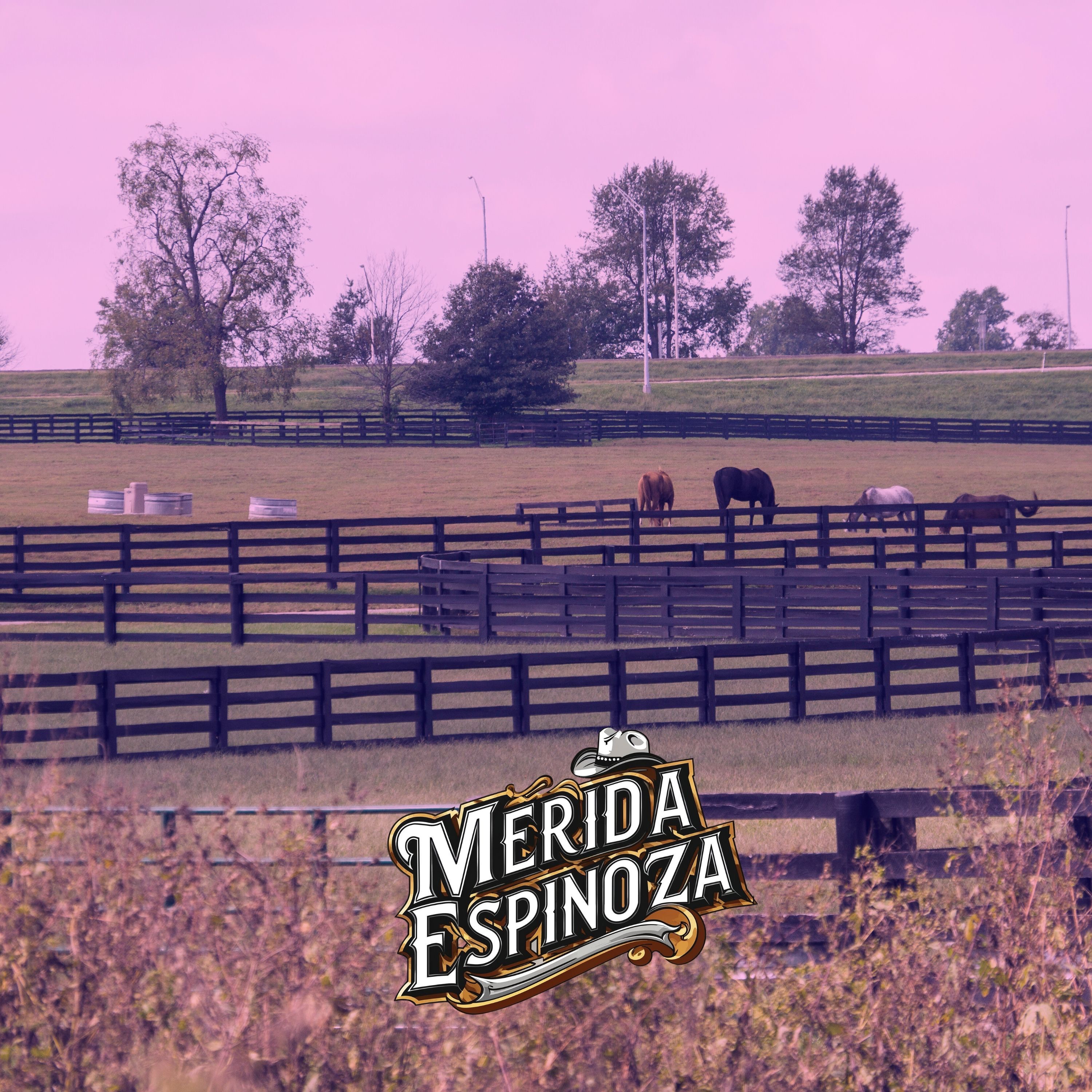 Mérida Espinoza - Lamentos de un Llanero