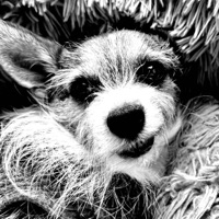 Smile Again (feat. Becca Stevens) - Single - Brock Butler Band