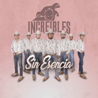 Sin Esencia - Single - Increibles