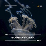 Sound Sigma - Single