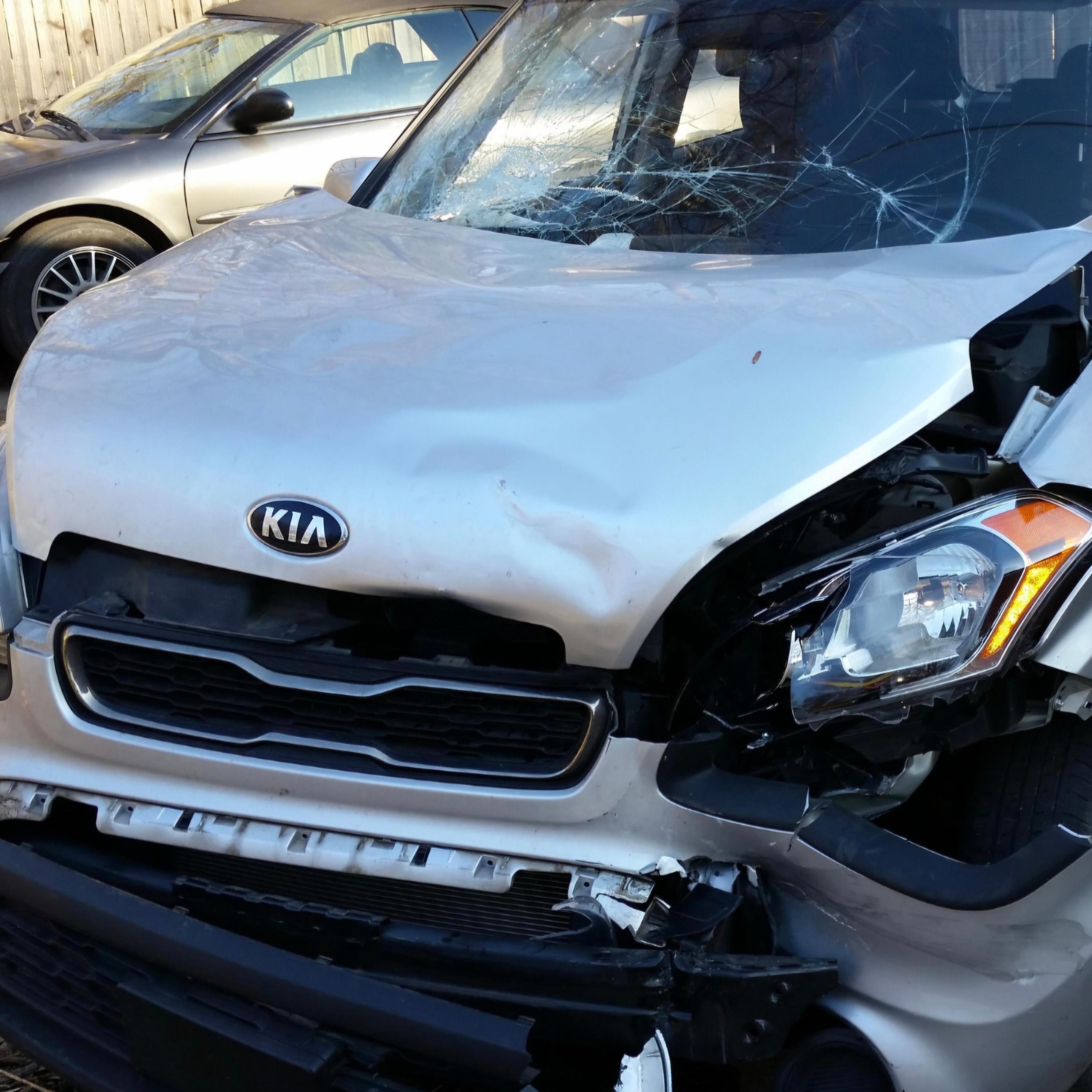 Shaped Like A Storm - Single