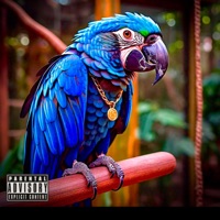 Rio Flow - Single - COCOLEAN