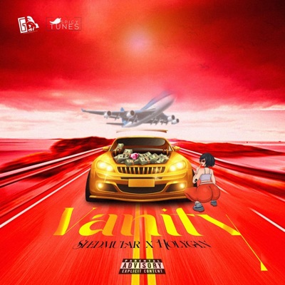Vanity (feat. Holygan) - Single