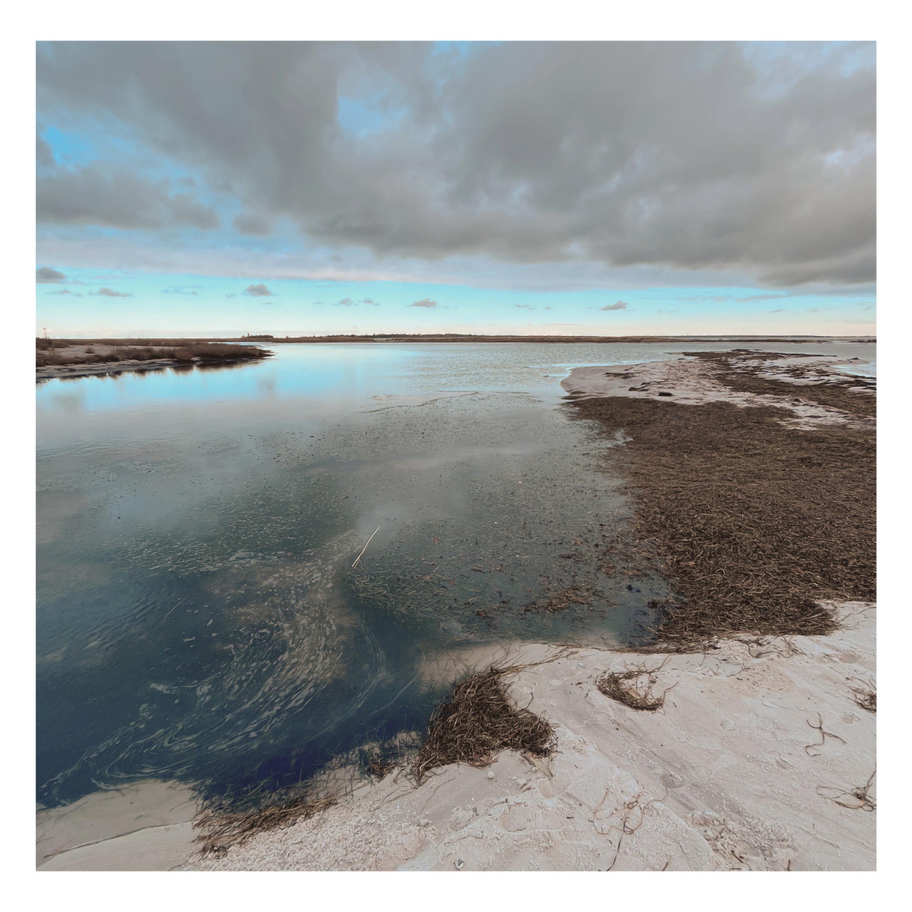 The Long Wait - Single