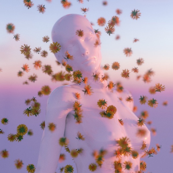 Illusions