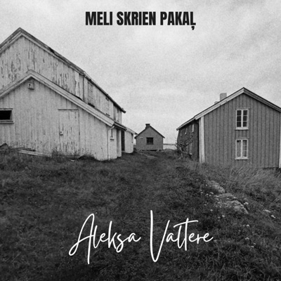 Meli skrien pakaļ - Single