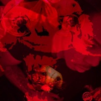 UrRentDueLol - Single - XAiSNAPPED