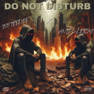 Do Not Disturb (feat. TNF TeeDoe) [Remix]