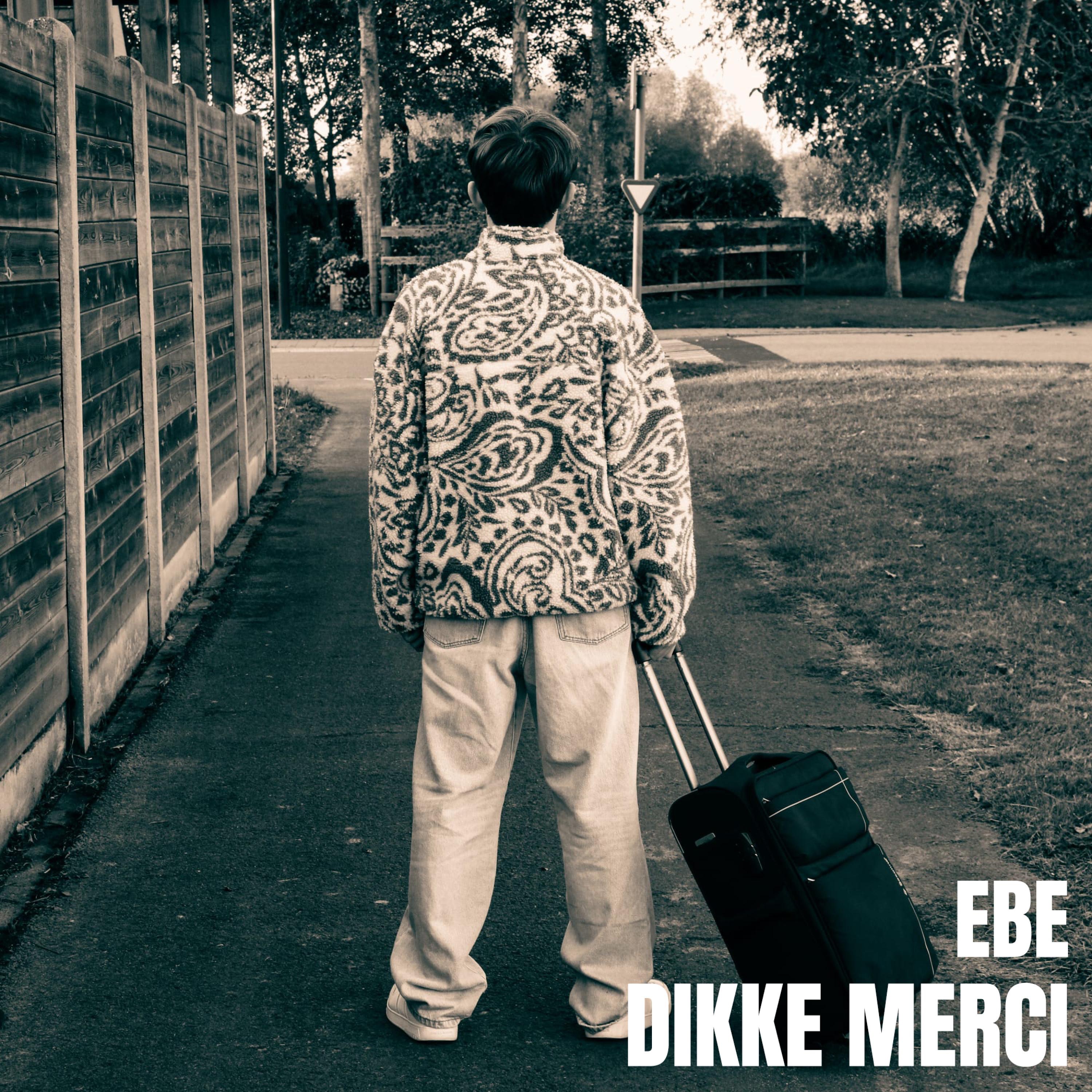Dikke Merci - Single