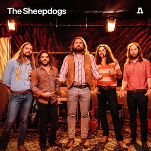 The Sheepdogs (Session #2) [Audiotree Live] - EP