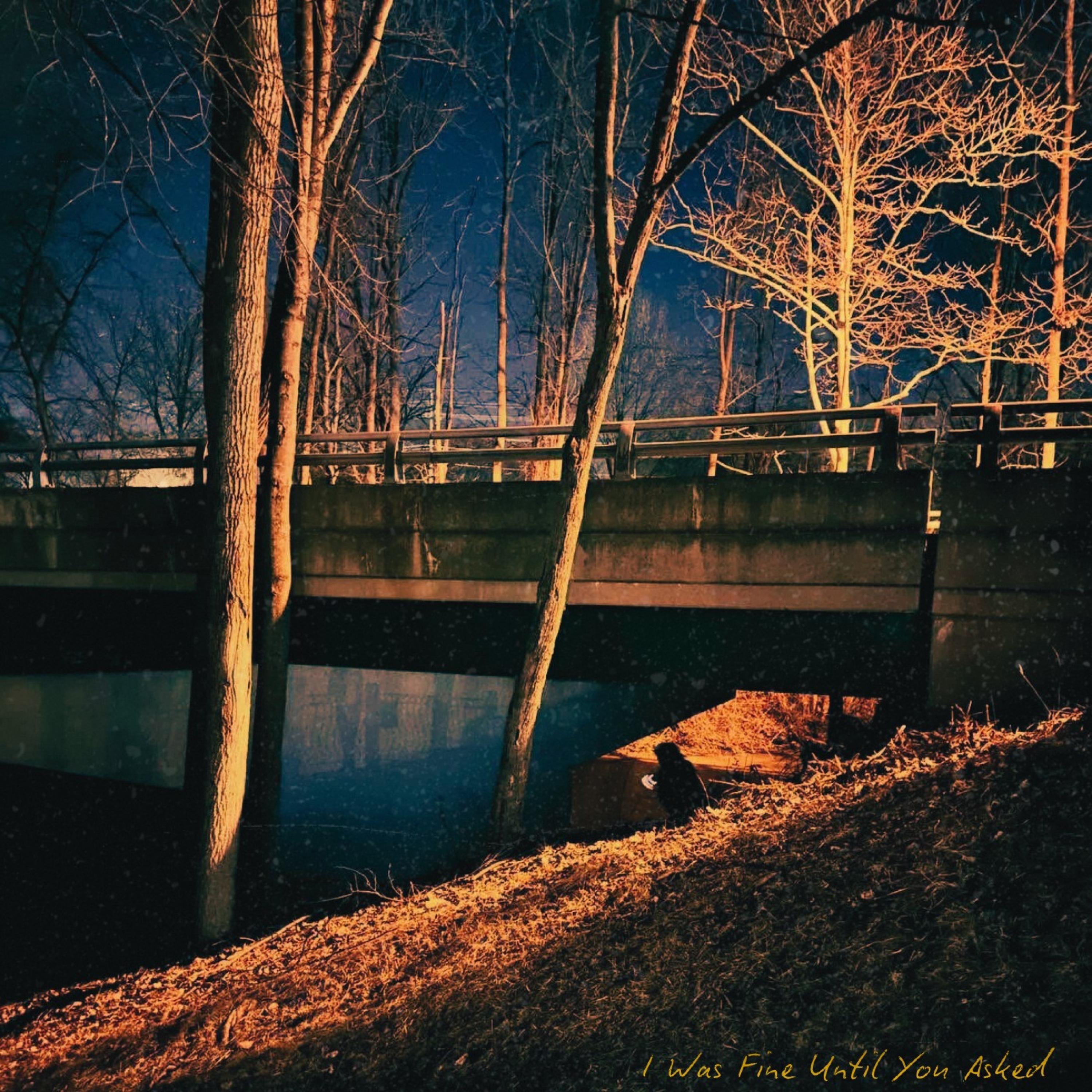 I Was Fine Until You Asked