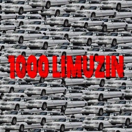 1000 LIMUZIN (feat. JUSH, VAN€ & Disloc8) Megla Collective