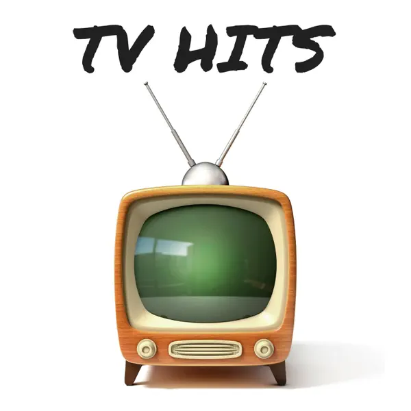 3rd Rock from the Sun TV Theme Song — Mount Royal Orchestra
