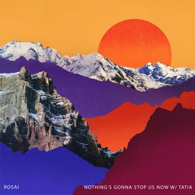 Nothing's Gonna Stop Us Now - Single
