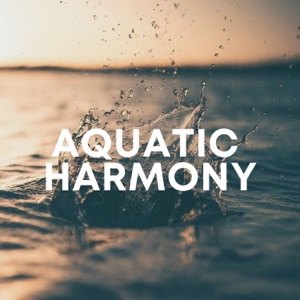 Aquatic Harmony: Relaxing Water Sounds for Peaceful Moments
