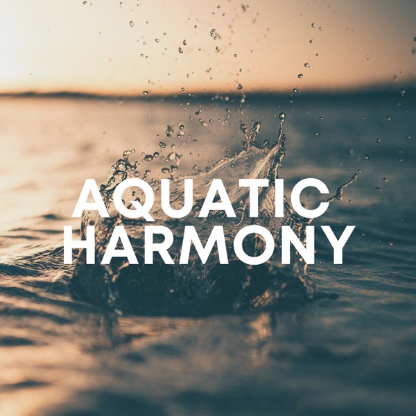 Aquatic Harmony: Relaxing Water Sounds for Peaceful Moments