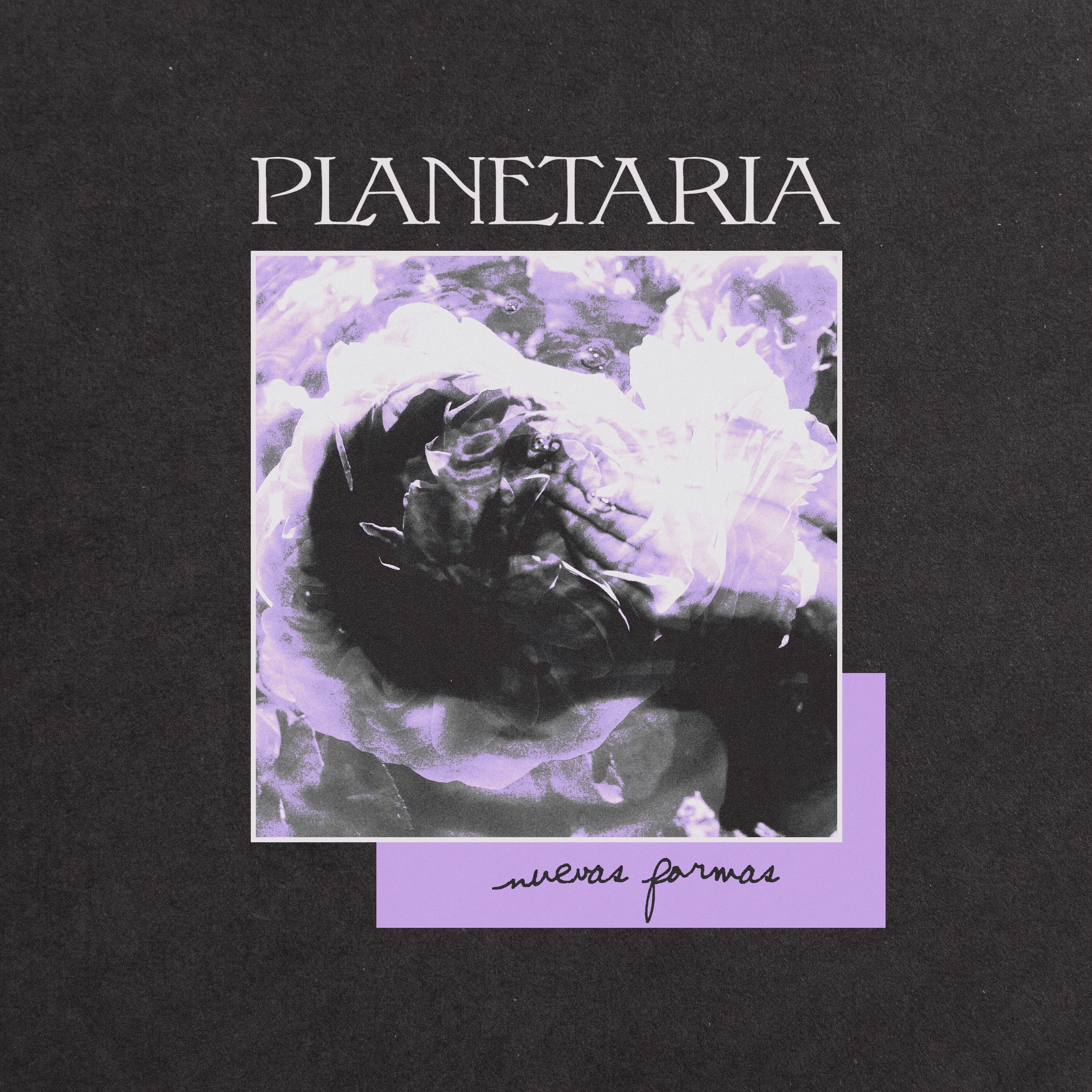 Nuevas Formas - Single