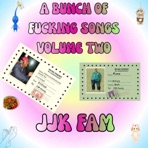 A BUNCH OF FUCKING SONGS VOL 2.