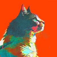 毎日 - Every Day - Single - Kenshi Yonezu