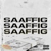 Icon Saaffig
