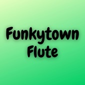 Funkytown (Flute) artwork