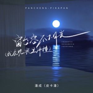窗台容不下月光(我在现实里冲撞) - Single