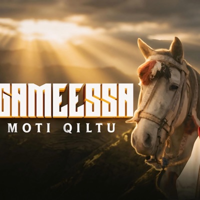 Moti Kiltu - Gameessa