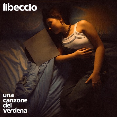 Una canzone dei Verdena - Libeccio