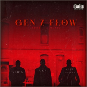 gen Z flow