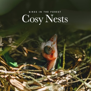 Cosy Nests