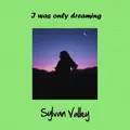 I Was Only Dreaming