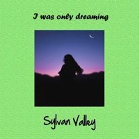 I Was Only Dreaming