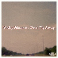Sticky Situation / Don't Fly Away - Single - Brandon E, Nick Wilkins, Chloe Moser & Trent Toth