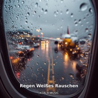 Regen Weißes Rauschen - Regengeräusche