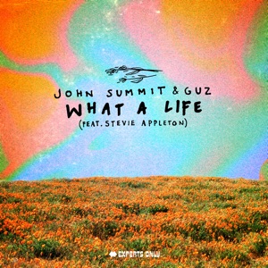 What a Life (feat. Stevie Appleton) [Extended Mix]
