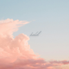 Held - Hillside Recording & Megan Tibbits