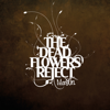 Dead Flowers Reject - Mansun