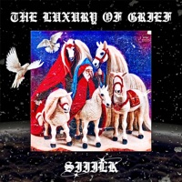 The Luxury Of Grief - siiilk.