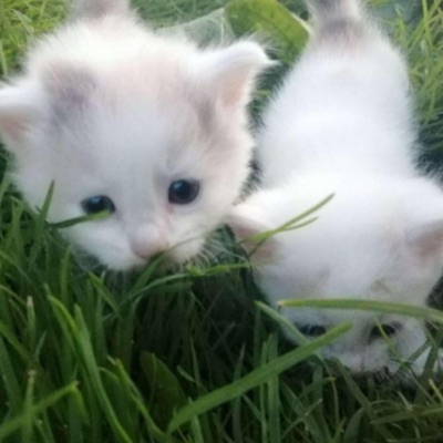 Póki Mamy Czas - Single