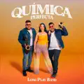 QUIMICA PERFECTA
